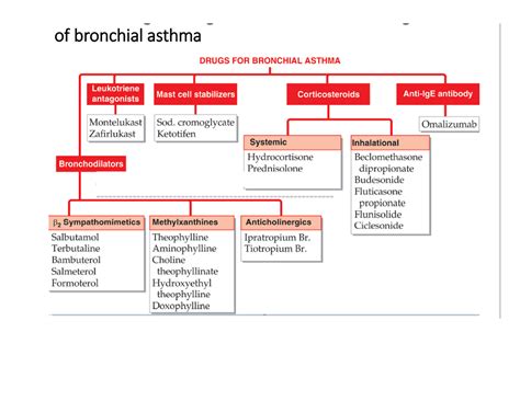 Bronchodilators: Asthma, Purpose, Types & Side Effects.